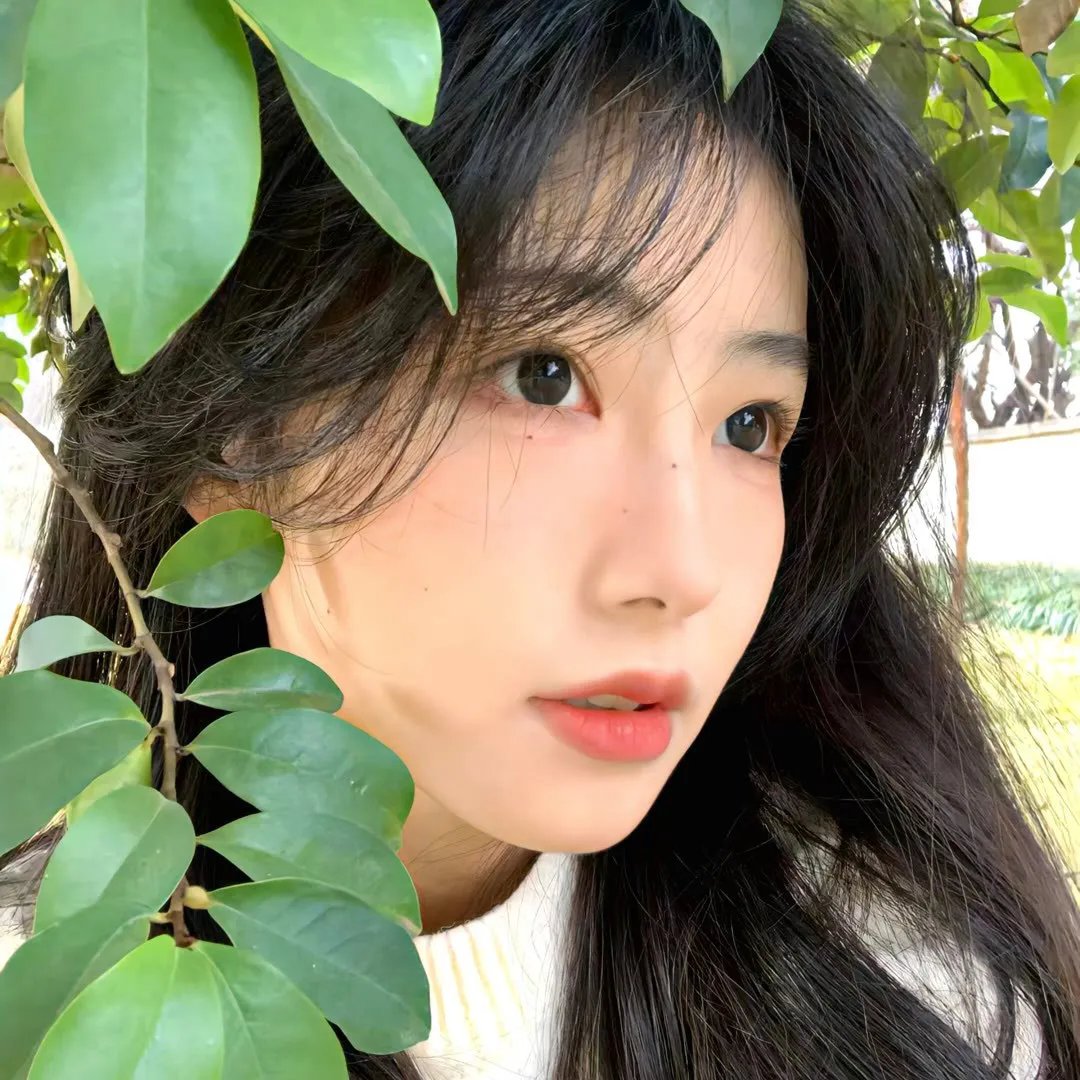 湾区儿女